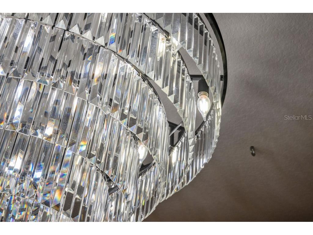 111 E Monument Avenue #801 Kissimmee FL 34741 - LAKE TOHOPEKALIGA O6320369 image21