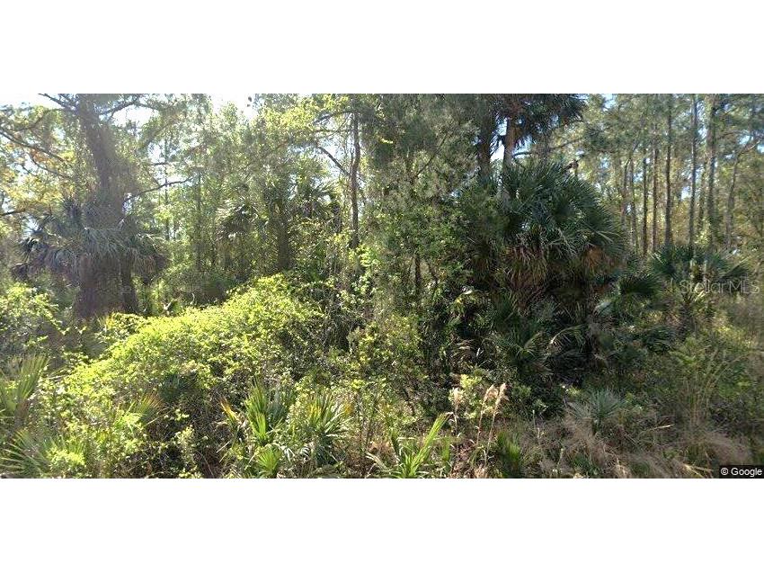 111 Edgewood Drive Georgetown FL 32139 - Lake George OM722366 image2