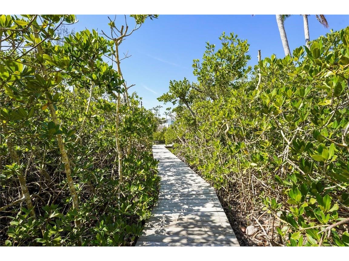 111 Faubel Street Sarasota FL 34242 - BAYOU LOUISE A4669276 image8