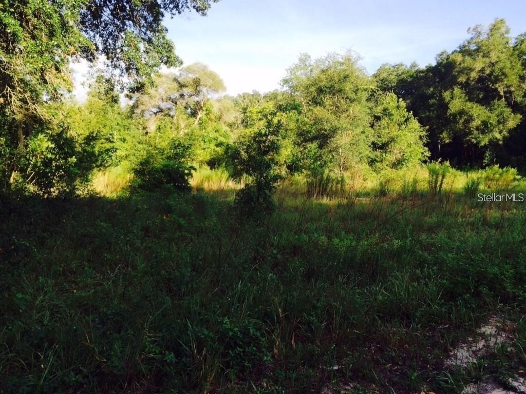 111 Frederick Street Interlachen FL 32148 G5106848 image2