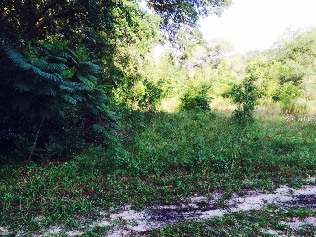 111 Frederick Street Interlachen FL 32148 G5106848 image4