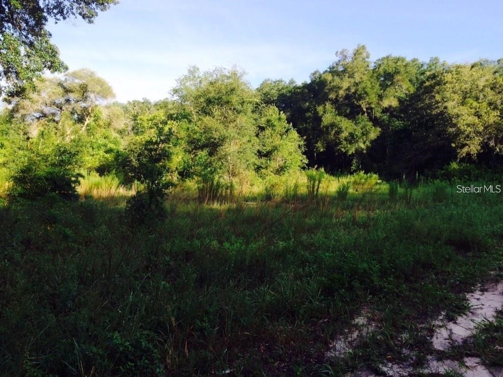 111 Frederick Street Interlachen FL 32148 G5106848 image5