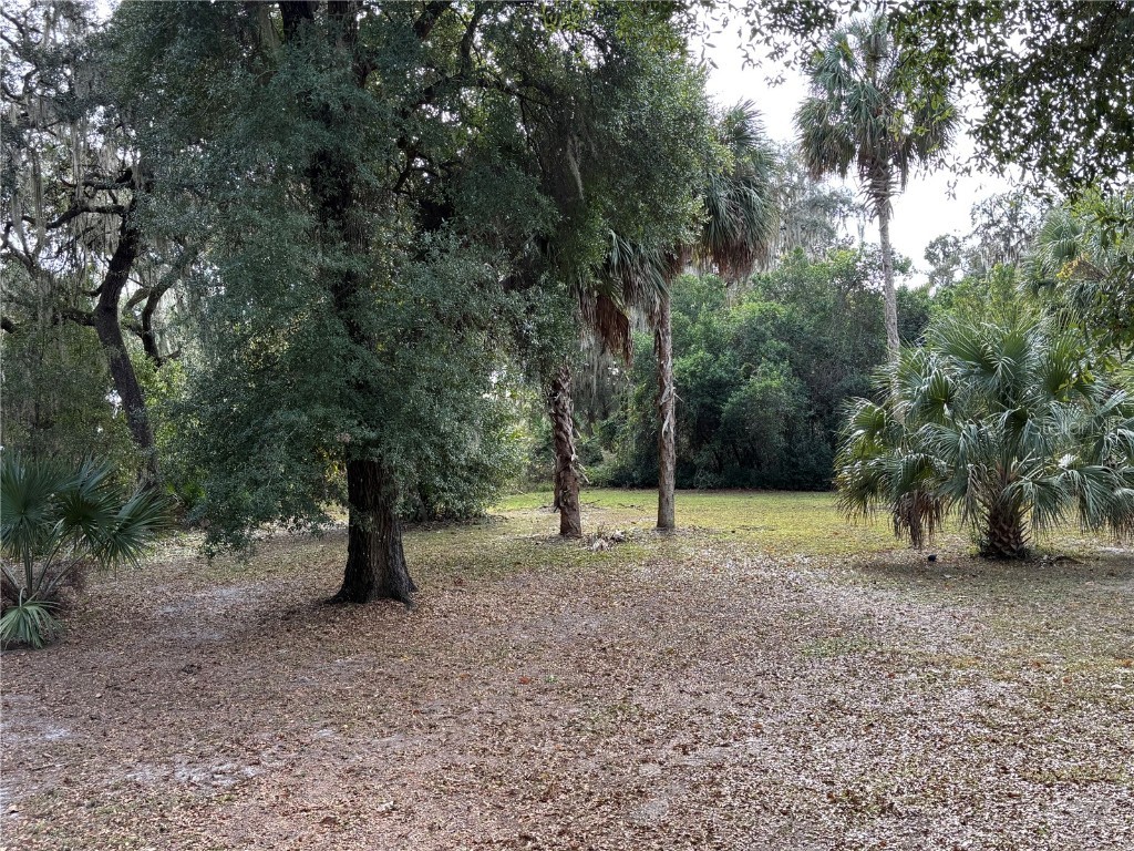 111 Little Orange Lake Drive Hawthorne FL 32640 GC536043 image29