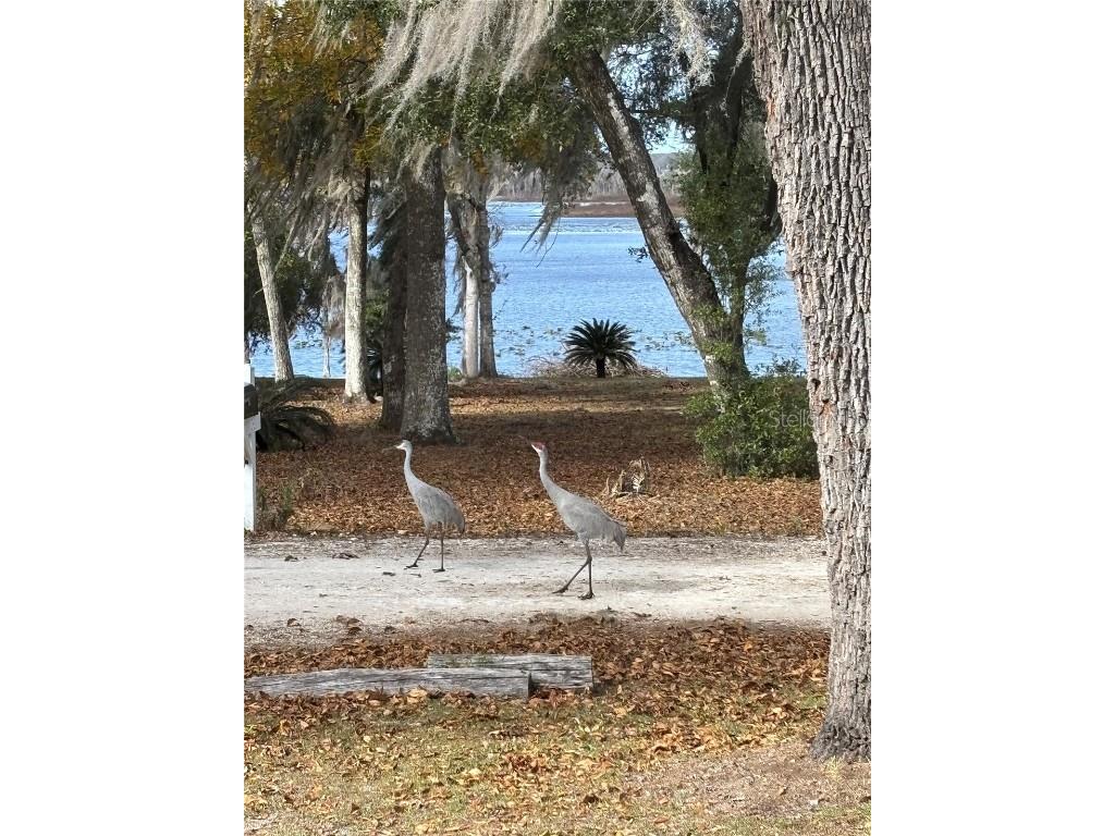 111 Little Orange Lake Drive Hawthorne FL 32640 GC536043 image3