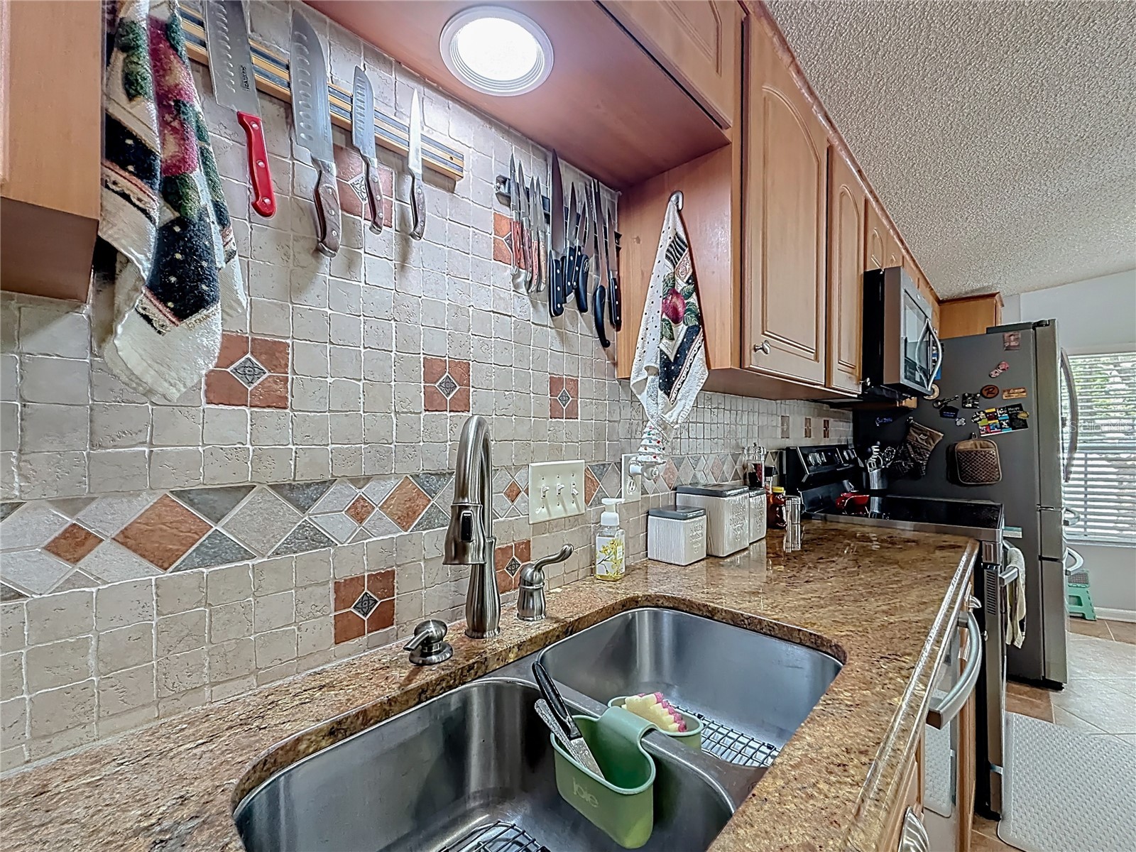 111 Mark Avenue Lady Lake FL 32159 G5110463 image14