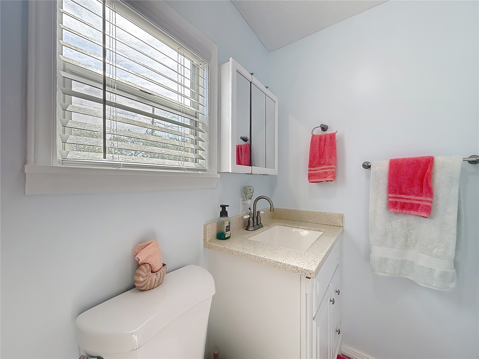 111 Mark Avenue Lady Lake FL 32159 G5110463 image39