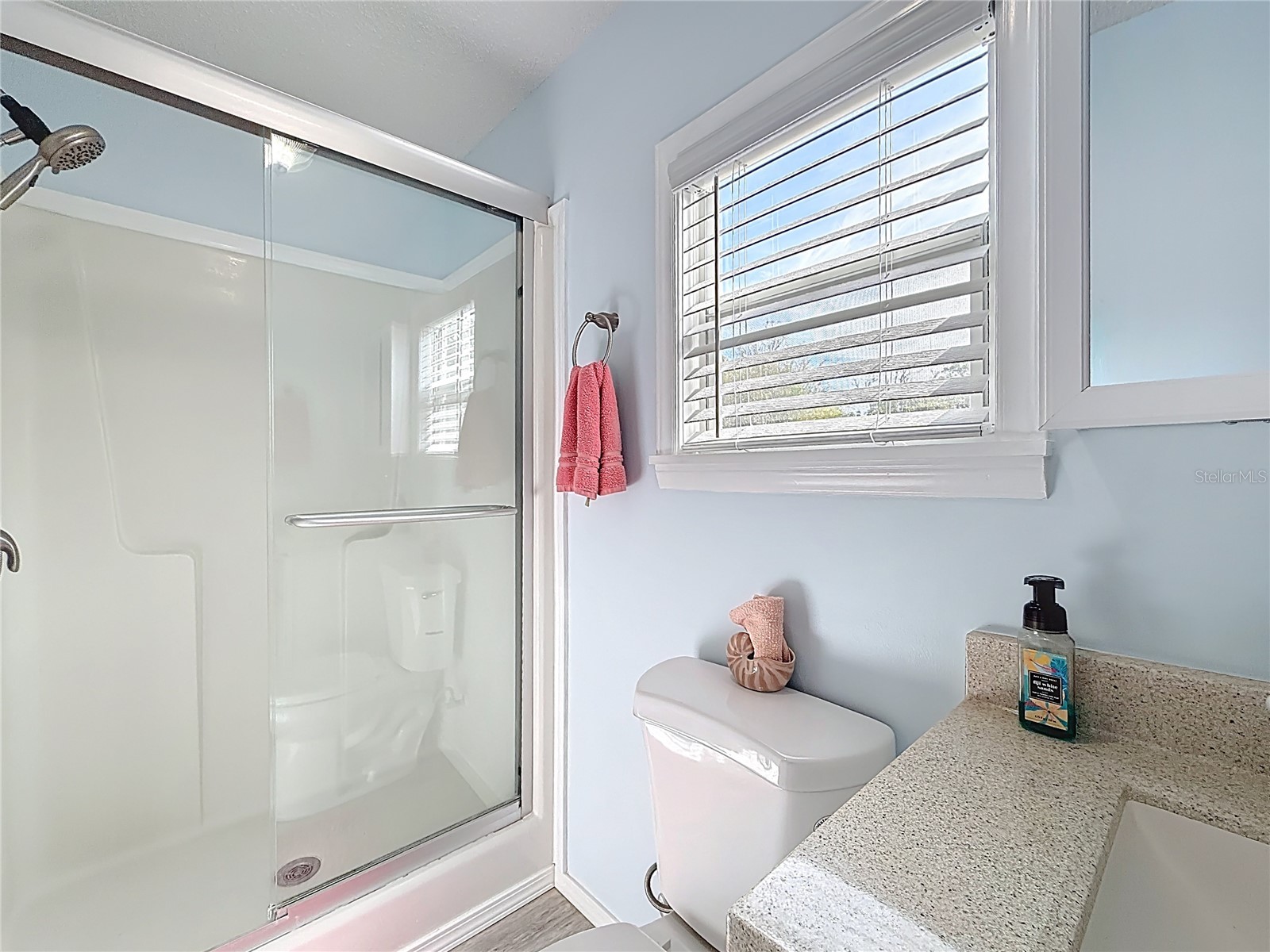 111 Mark Avenue Lady Lake FL 32159 G5110463 image40