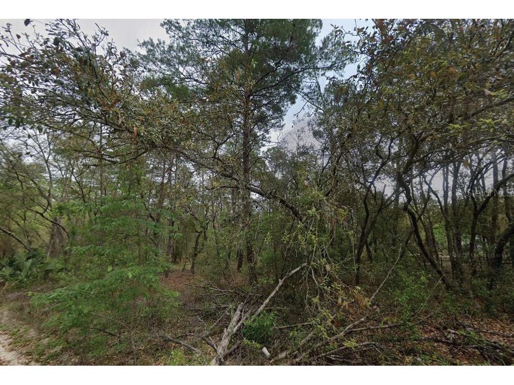 111 N Carolina Drive Satsuma FL 32189 O6321564 image1