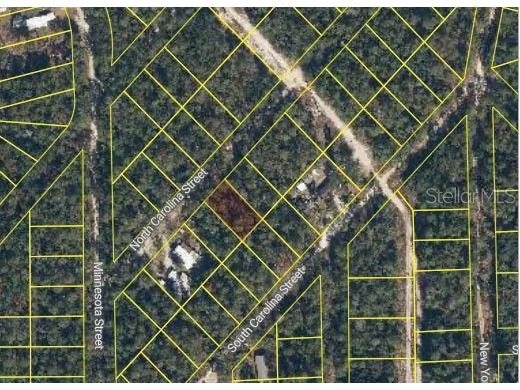 111 N Carolina Drive Satsuma FL 32189 O6321564 image2