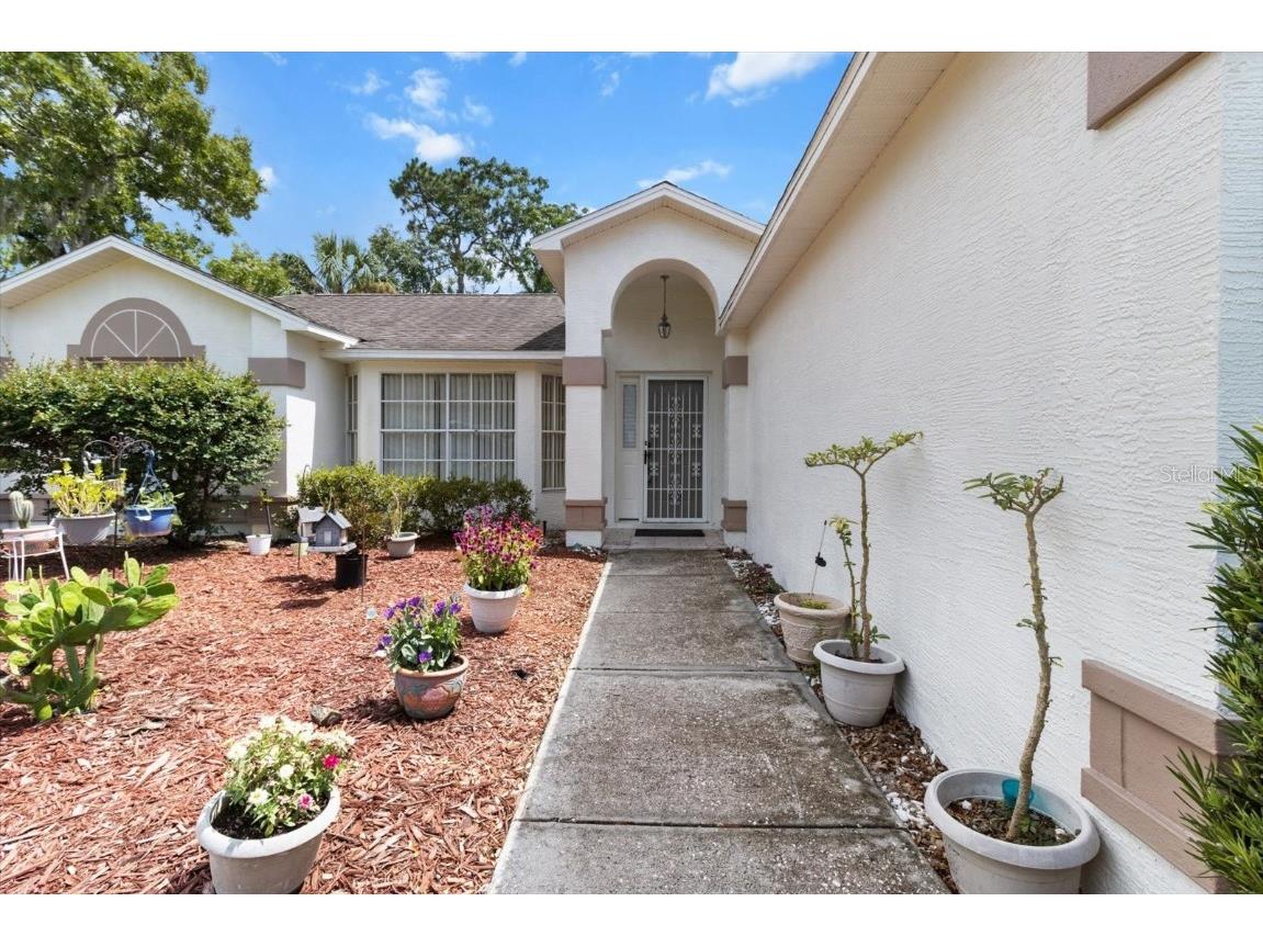 111 Pine Street Homosassa FL 34446 OM704772 image6