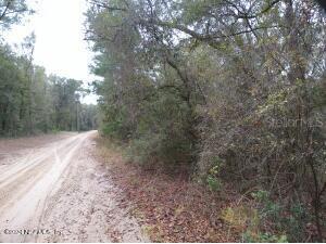 111 Ranchette Lane Florahome FL 32140 S5102160 image1