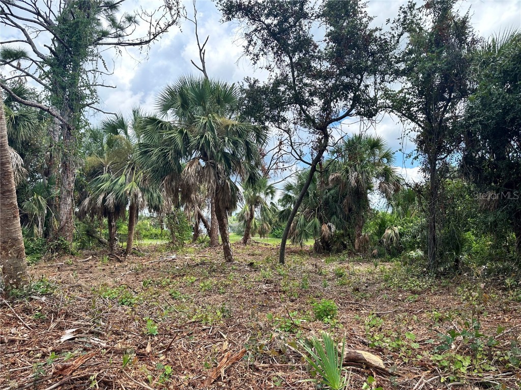 111 Red Cedar Park Rotonda West FL 33947 C7479355 image1