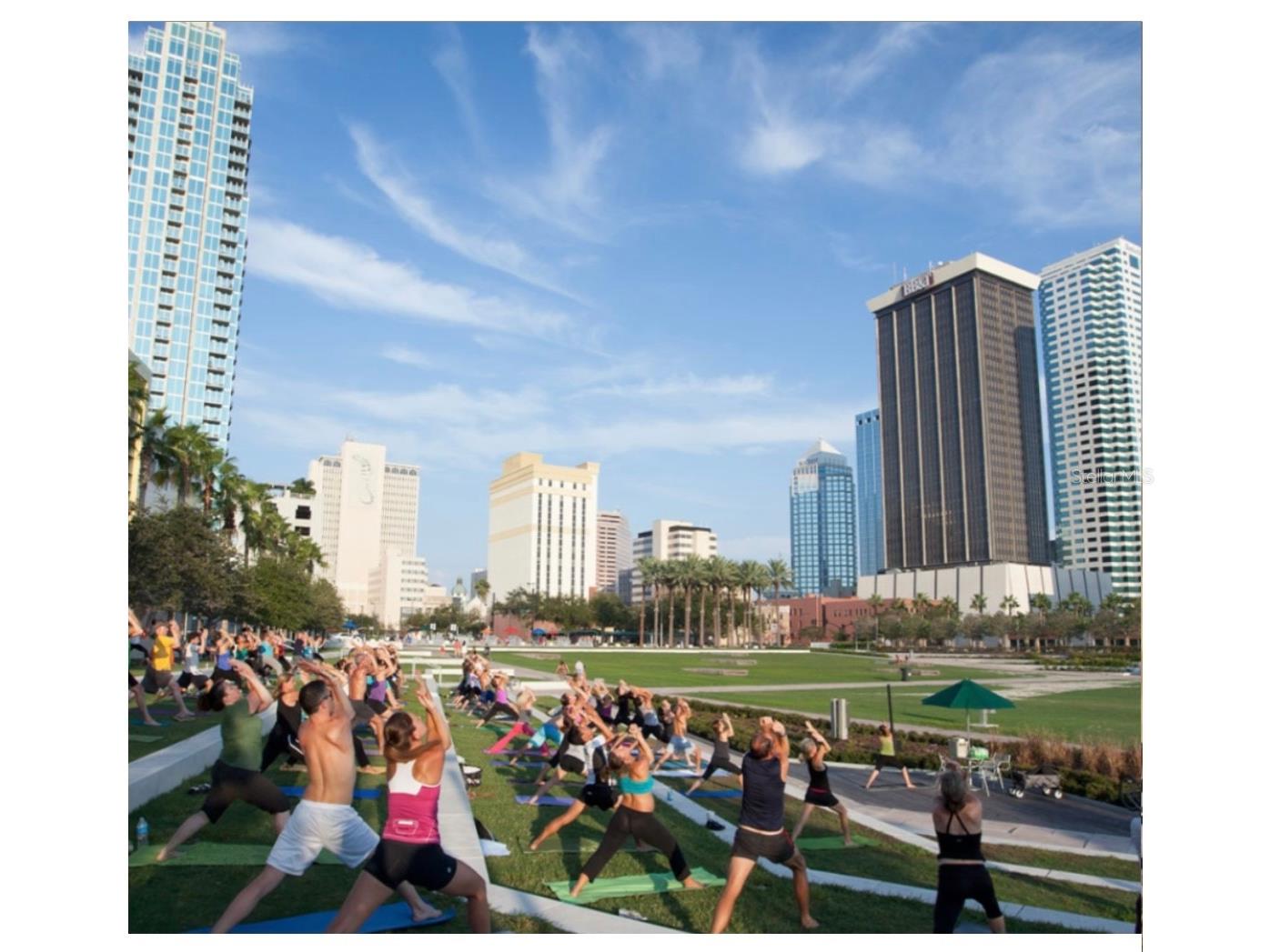 111 S Ashley Drive #1501 Tampa FL 33602 TB8469770 image21