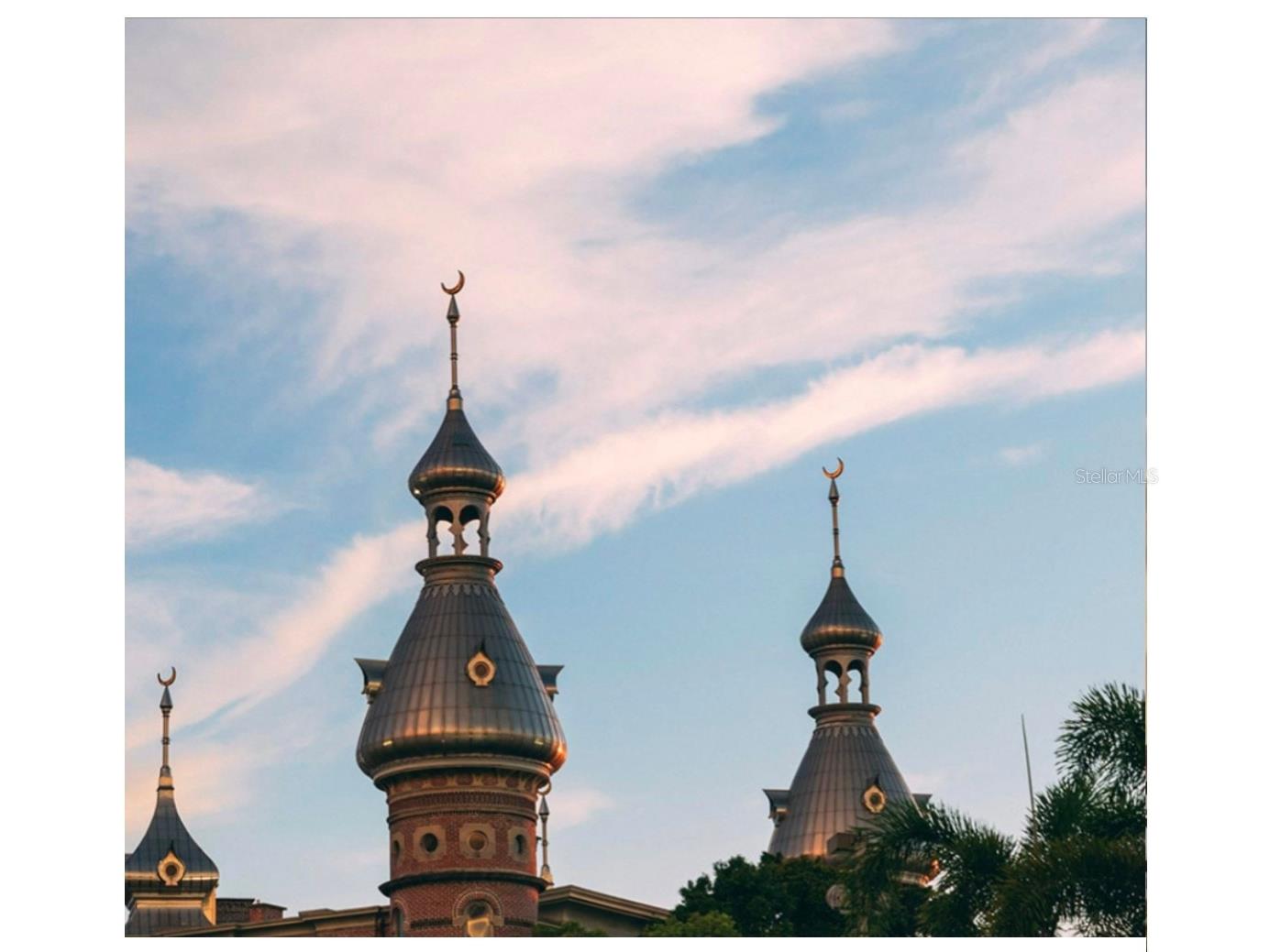 111 S Ashley Drive #1501 Tampa FL 33602 TB8469770 image23