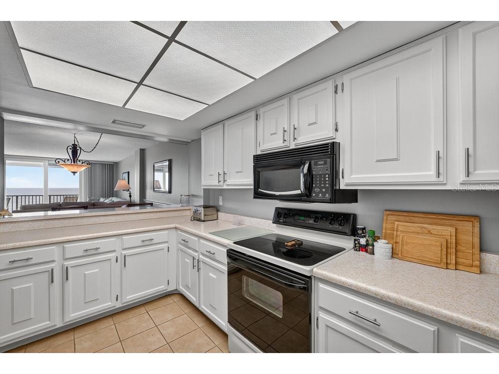 111 S Atlantic Avenue #803 Ormond Beach FL 32176 NS1086091 image9