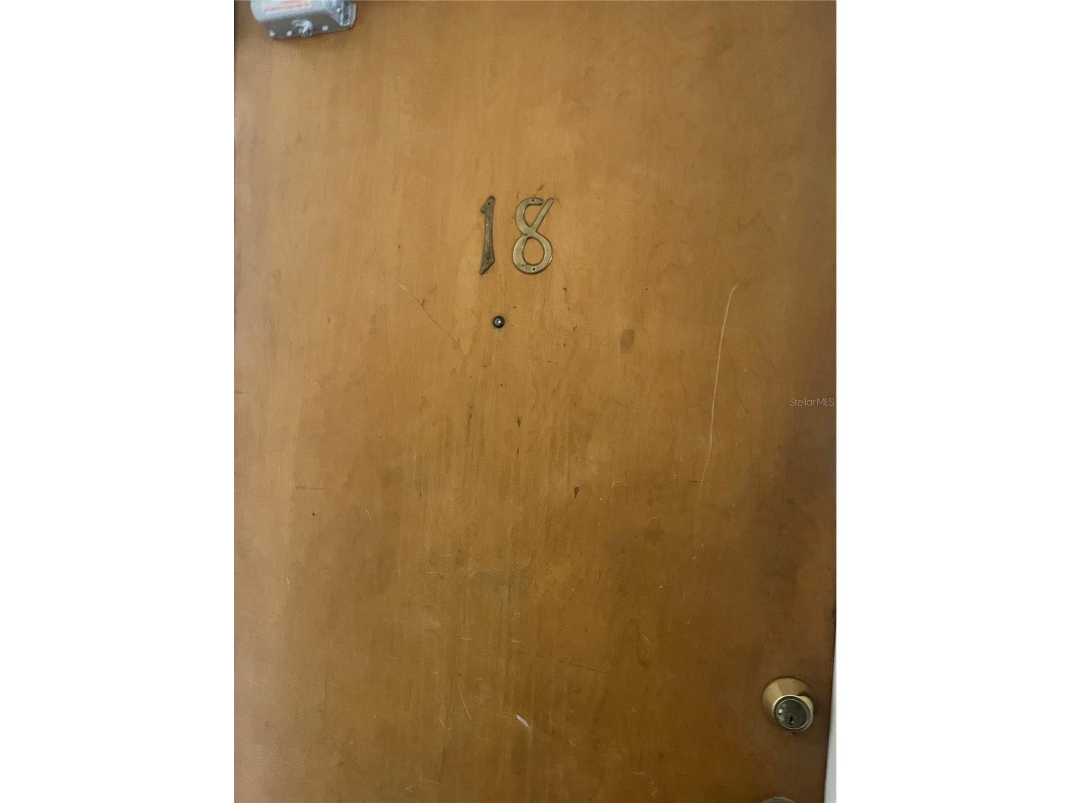 111 S Newport Avenue #18 Tampa FL 33606 TB8475343 image2