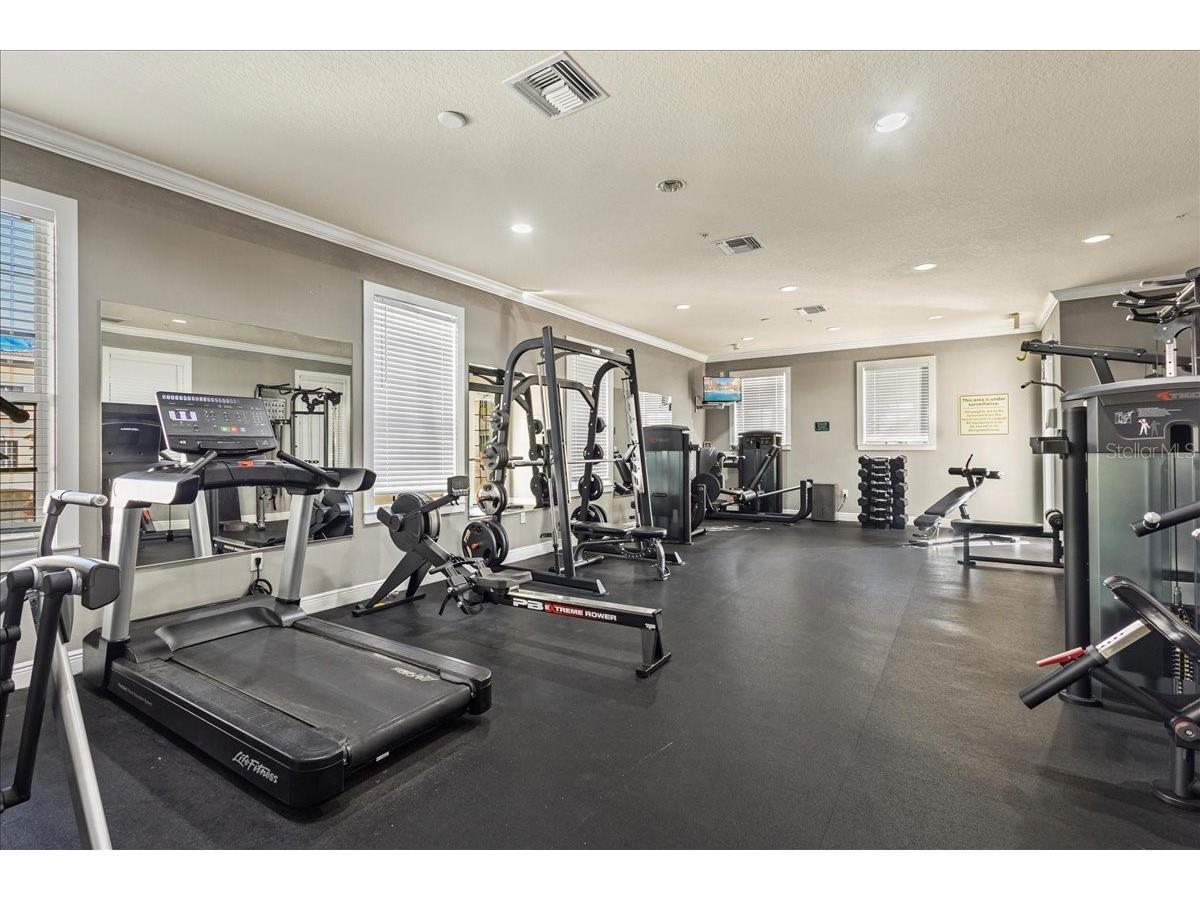 111 S Sherrill Street Tampa FL 33609 L4960644 image17