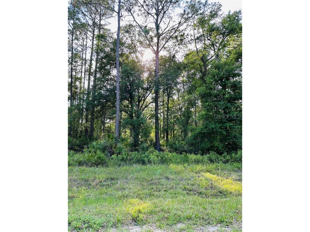 111 Sailfish Drive Palatka FL 32177 - ST. JOHNS RIVER FC300332 image1