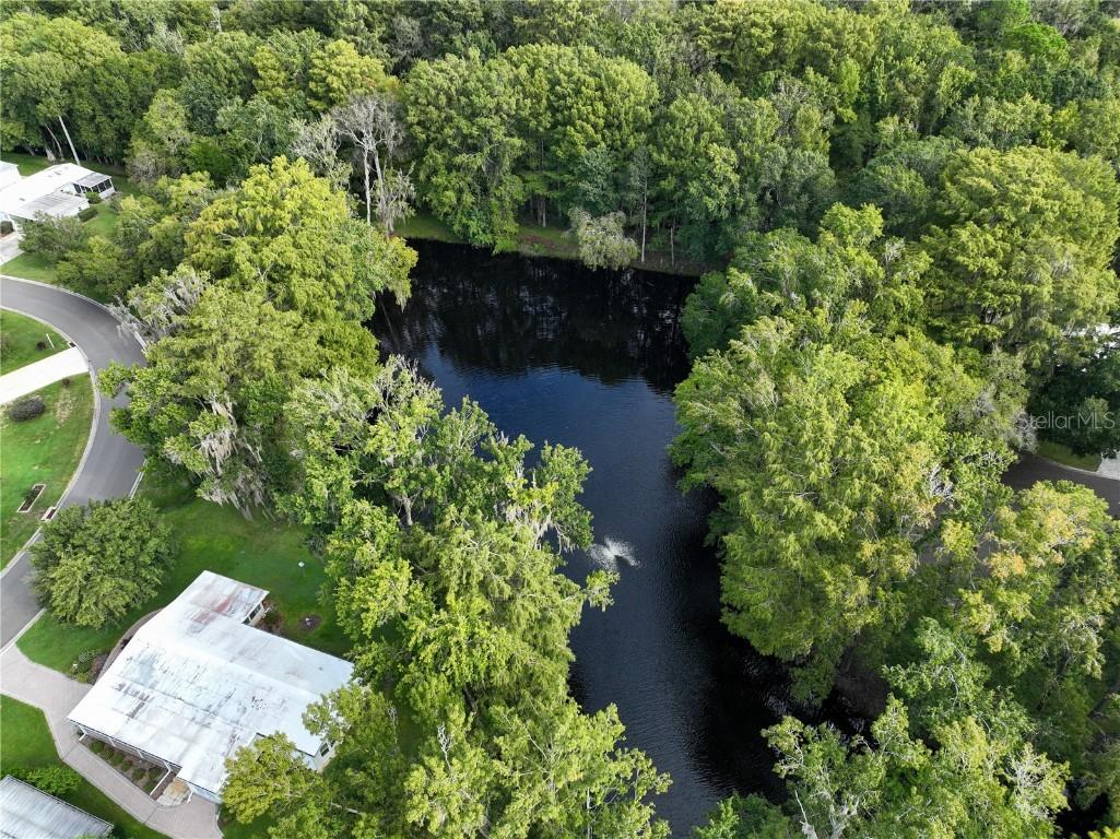 111 Sugar Maple Avenue Wildwood FL 34785 G5102673 image40