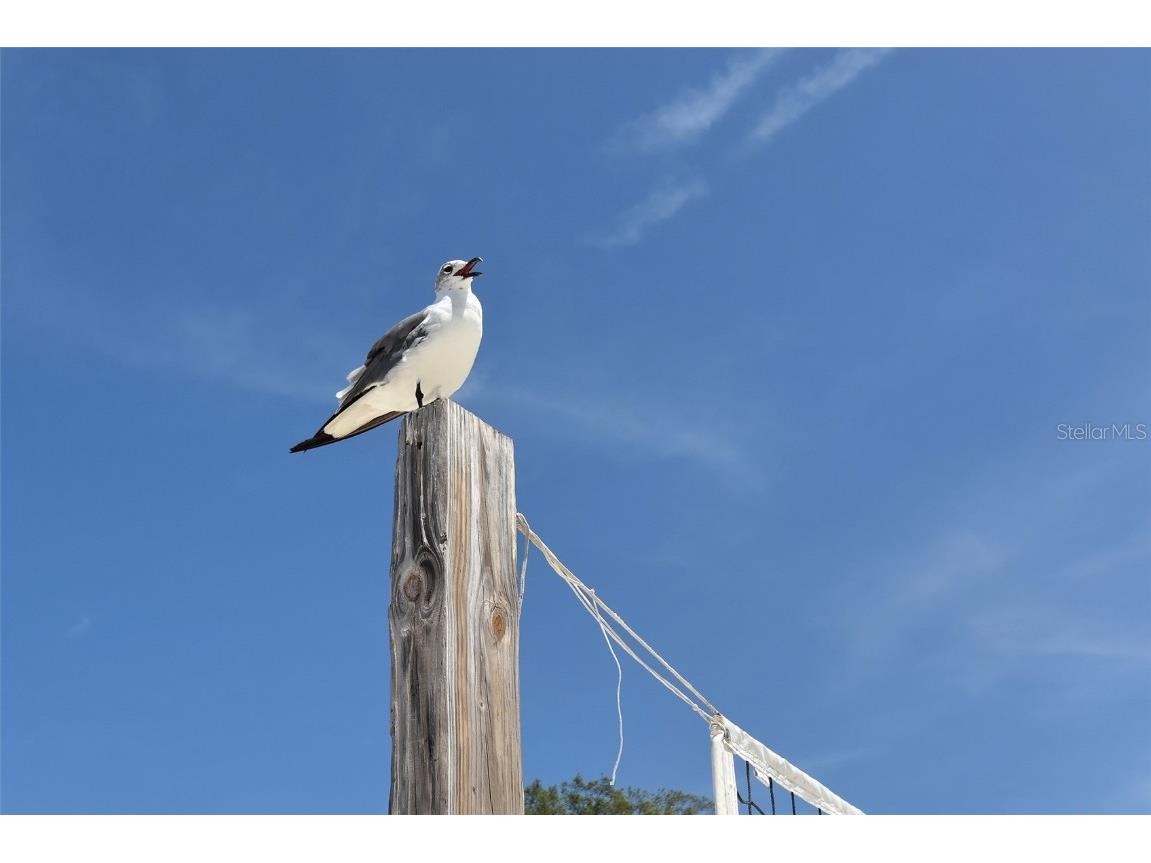 111 Tidy Island Boulevard Bradenton FL 34210 - SARASOTA BAY A4651151 image77