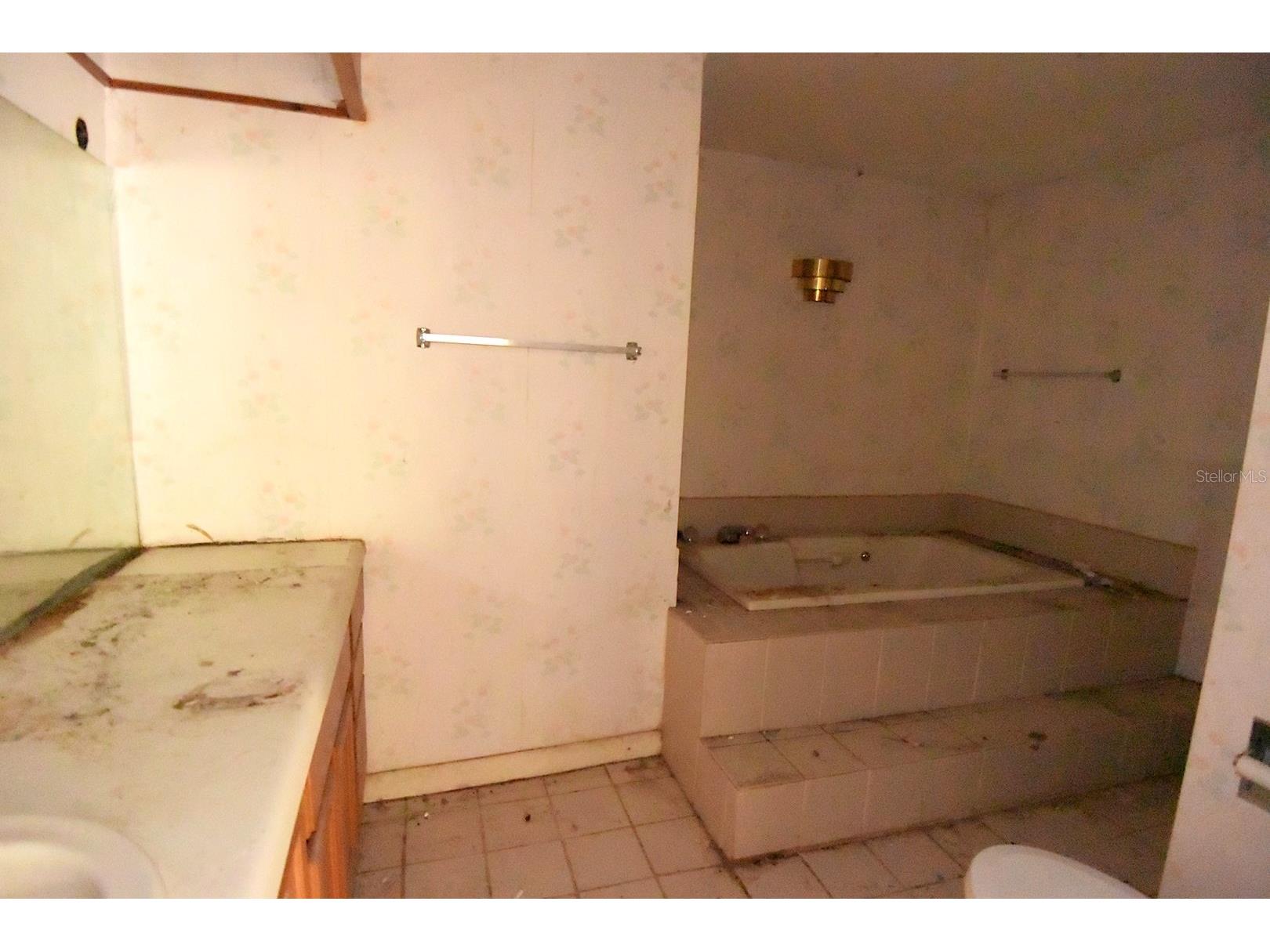 111 W Powhatan Avenue Tampa FL 33604 W7886272 image21