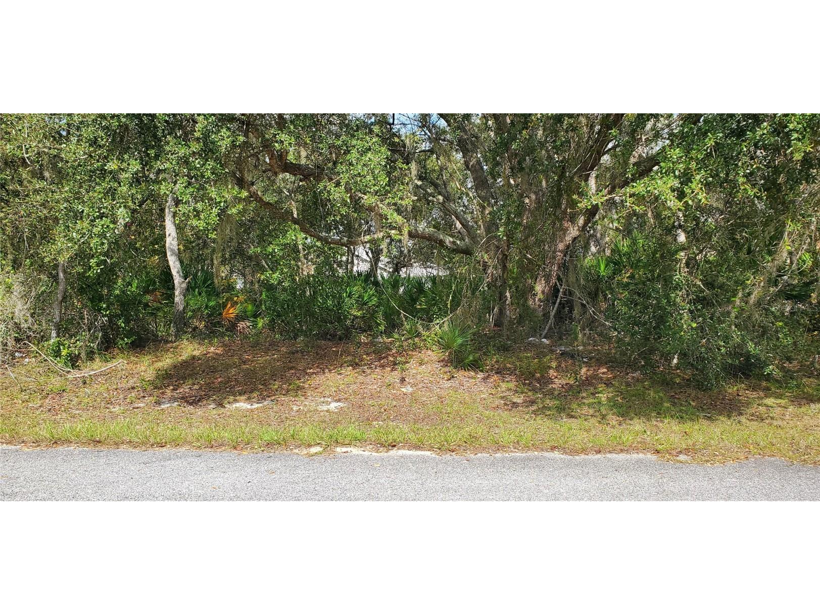 111 Warmouth Lane Kissimmee FL 34759 S5137612 image1