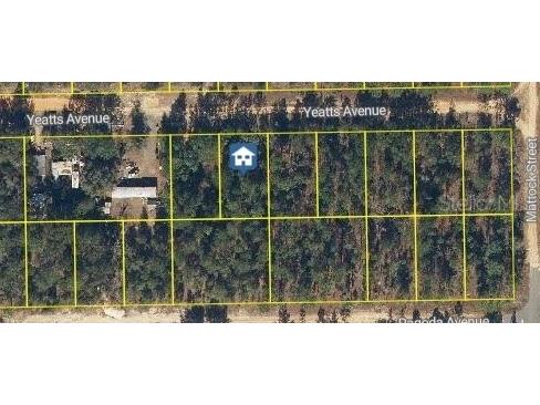 111 Yeatts Avenue Interlachen FL 32148 FC316152 image1
