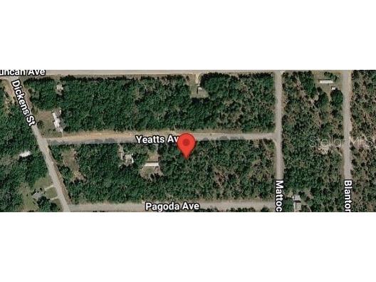 111 Yeatts Avenue Interlachen FL 32148 FC316152 image2