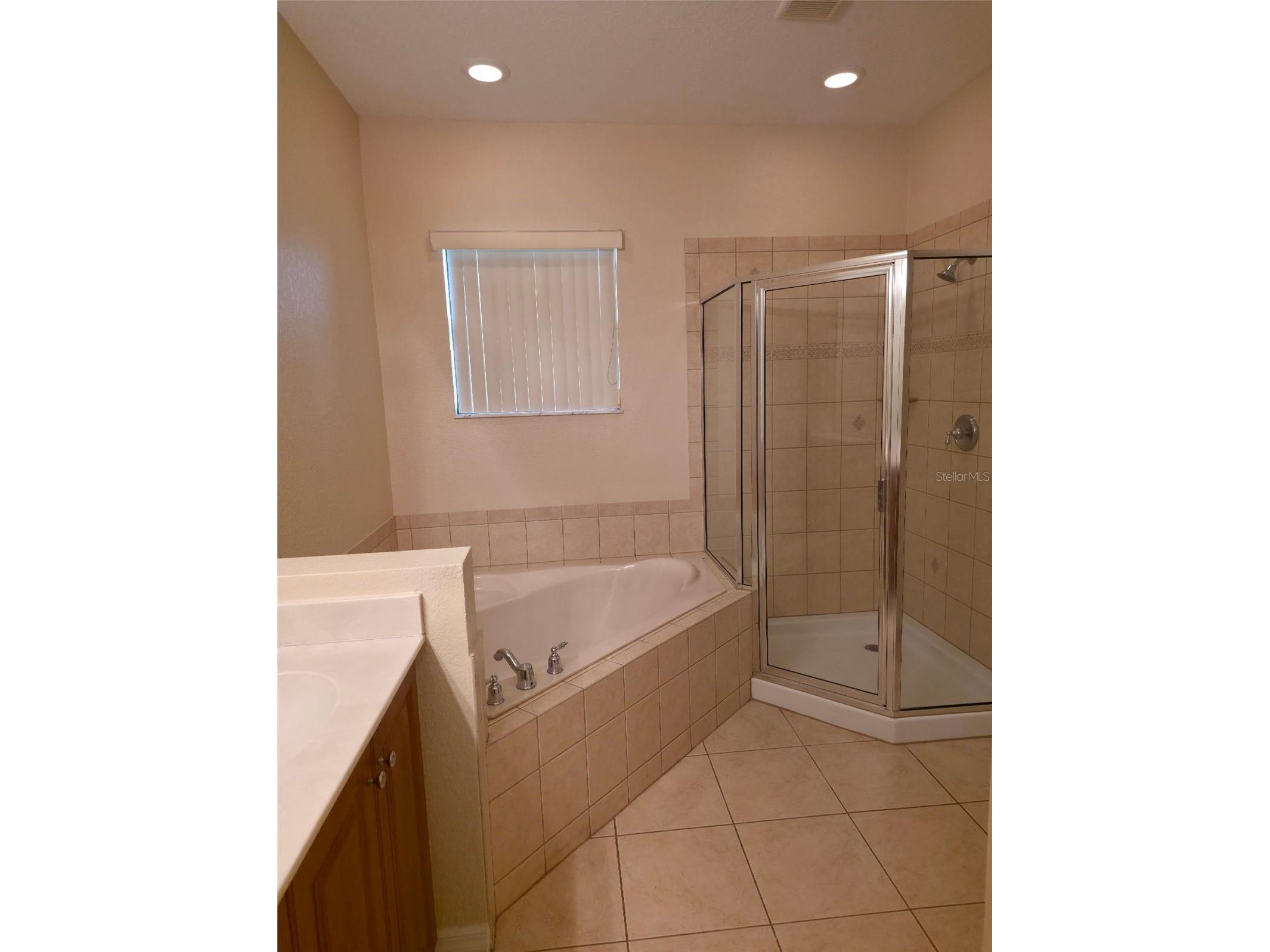 1110 Chervil Drive Kissimmee FL 34759 O6401405 image13