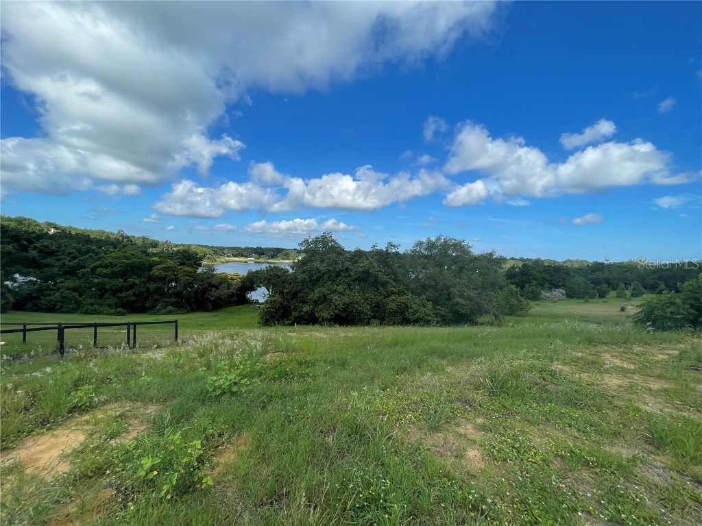 1110 Country Club Road Eustis FL 32726 - LAKE NETTIE G5098090 image11