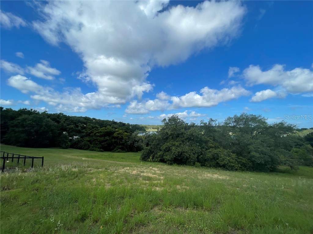 1110 Country Club Road Eustis FL 32726 - LAKE NETTIE G5098090 image17