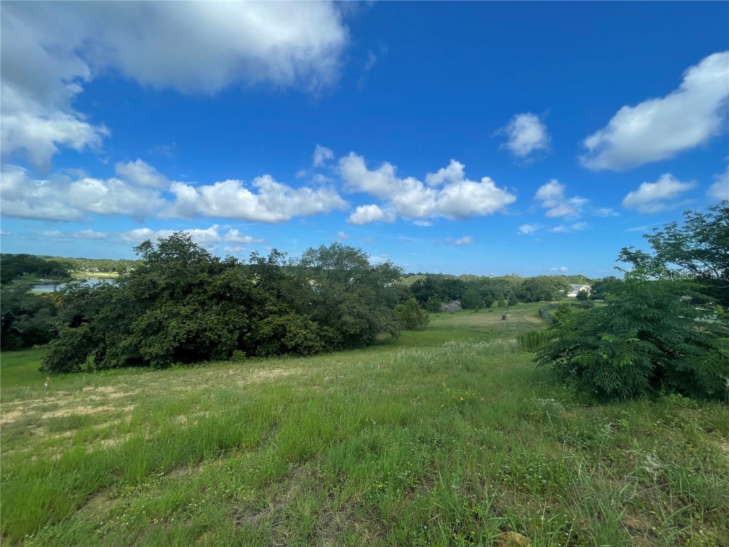 1110 Country Club Road Eustis FL 32726 - LAKE NETTIE G5098090 image18