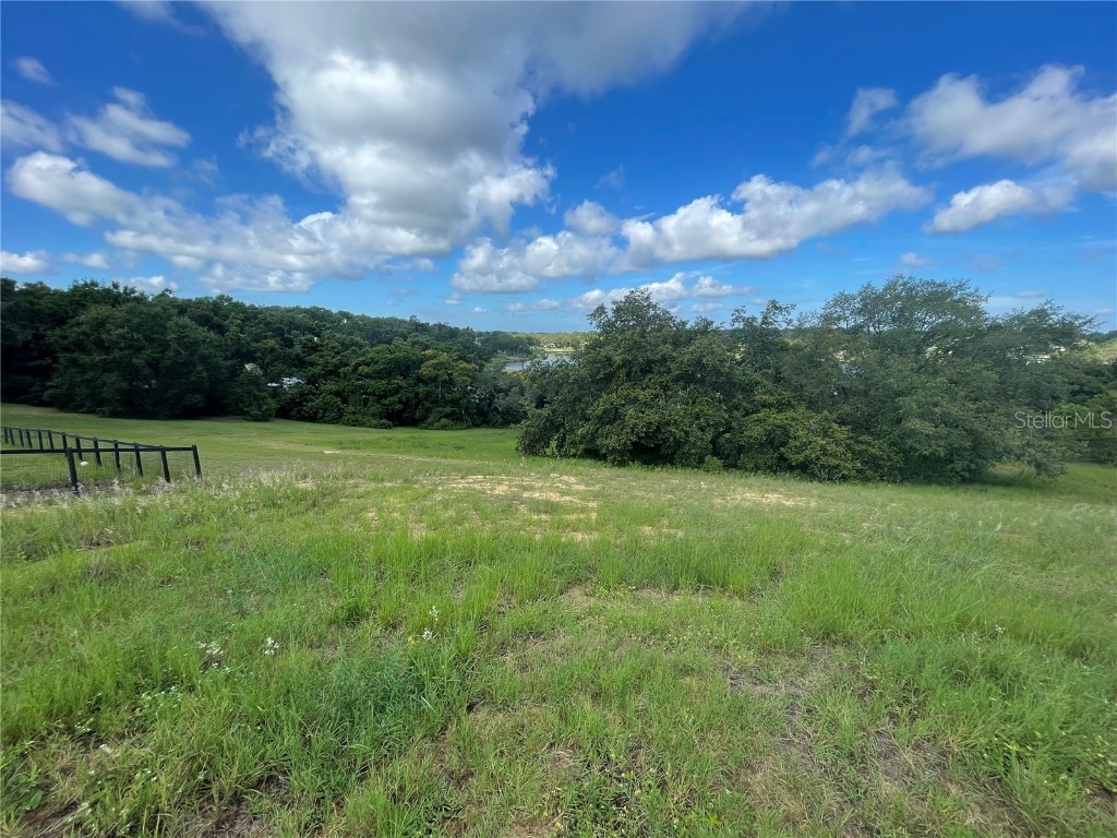 1110 Country Club Road Eustis FL 32726 - LAKE NETTIE G5098090 image19