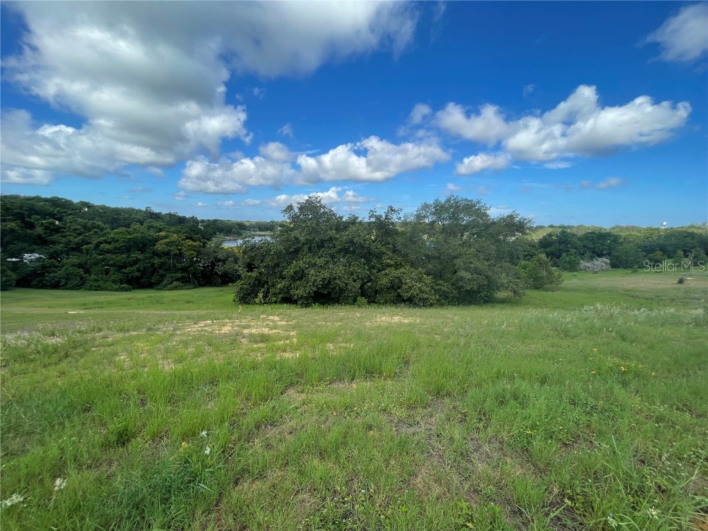 1110 Country Club Road Eustis FL 32726 - LAKE NETTIE G5098090 image22