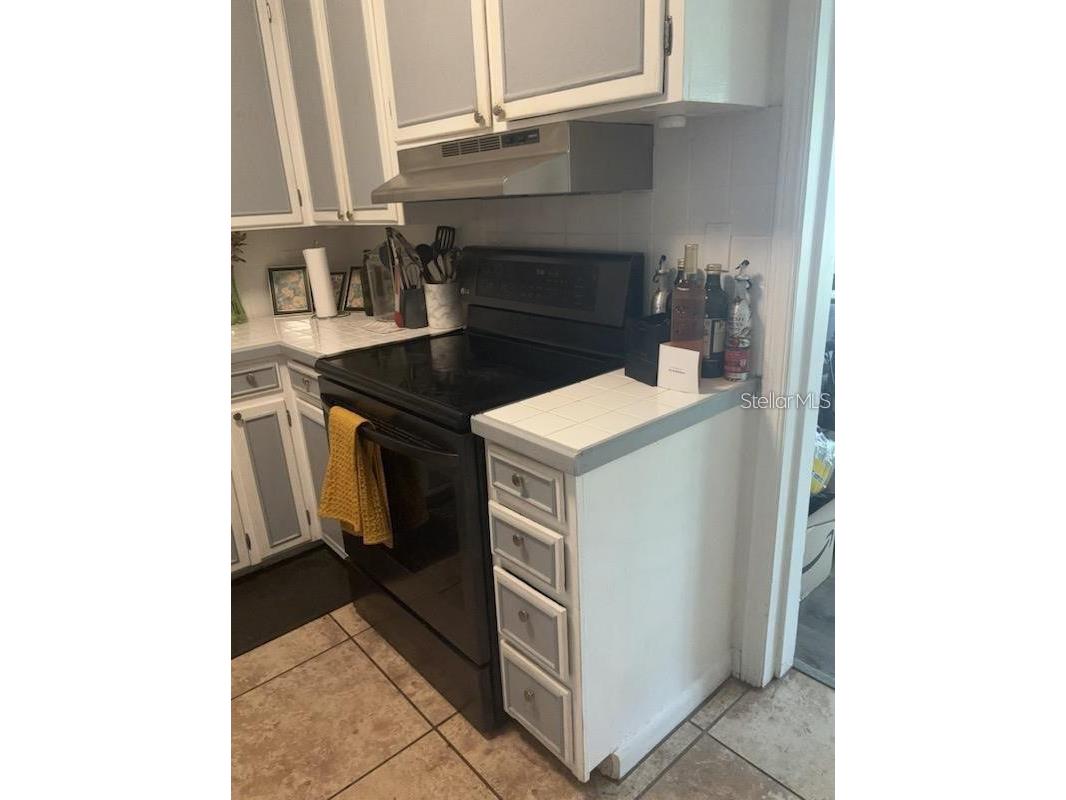 1110 E Edgewood Drive Lakeland FL 33803 O6414352 image8