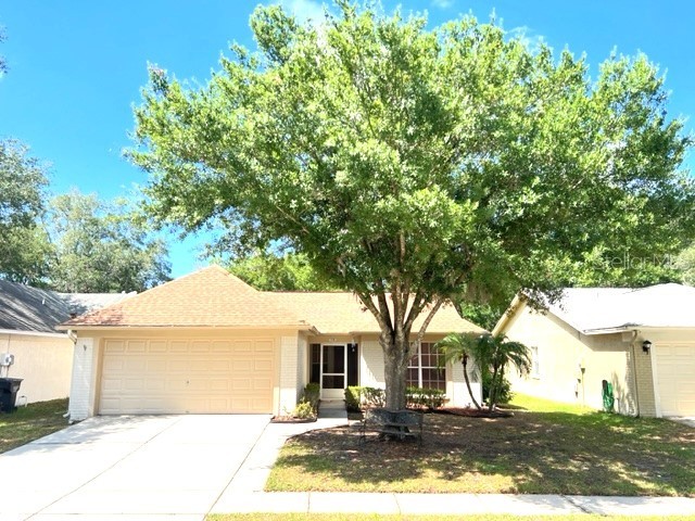 1110 Hardwood Drive Valrico FL 33596 T3434171 image1