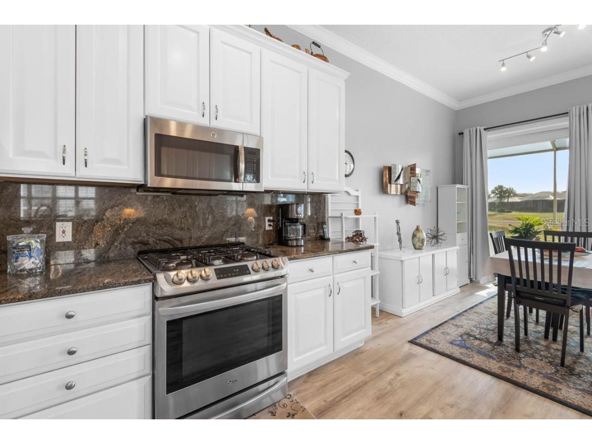 1110 Jasmine Creek Court Sun City Center FL 33573 TB8390681 image17