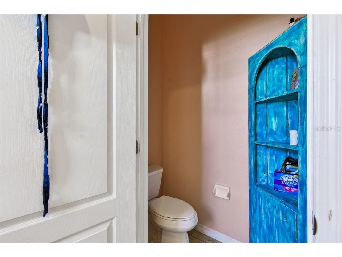 1110 Lauren Manor Loop Ruskin FL 33570 TB8443754 image22