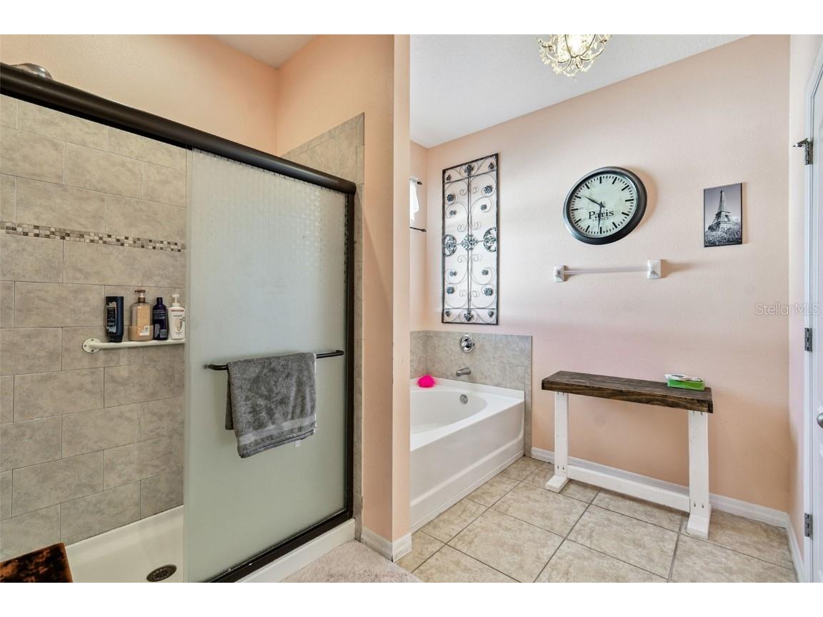 1110 Lauren Manor Loop Ruskin FL 33570 TB8443754 image23