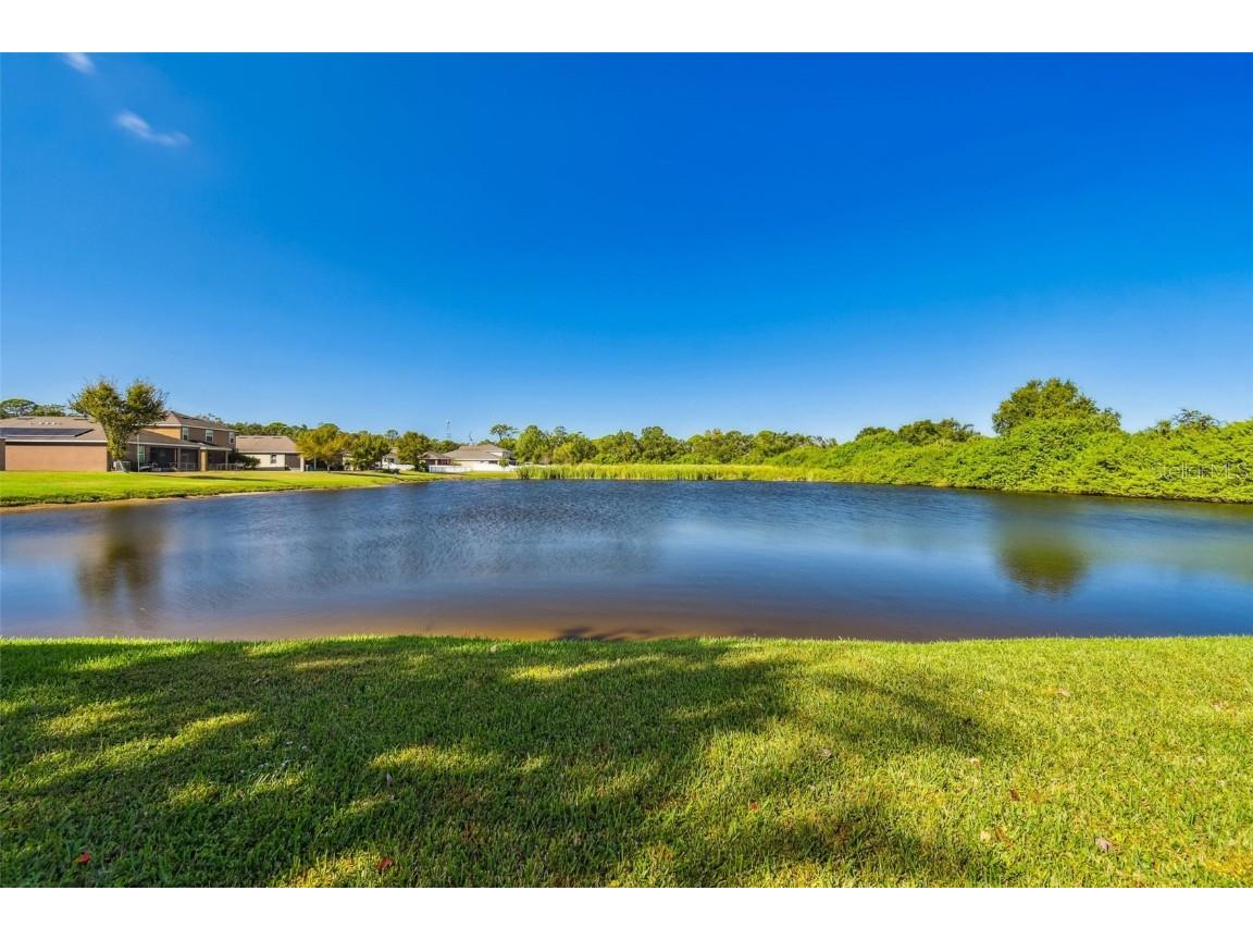 1110 Lauren Manor Loop Ruskin FL 33570 TB8443754 image46