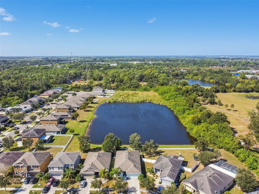 1110 Lauren Manor Loop Ruskin FL 33570 TB8443754 image48