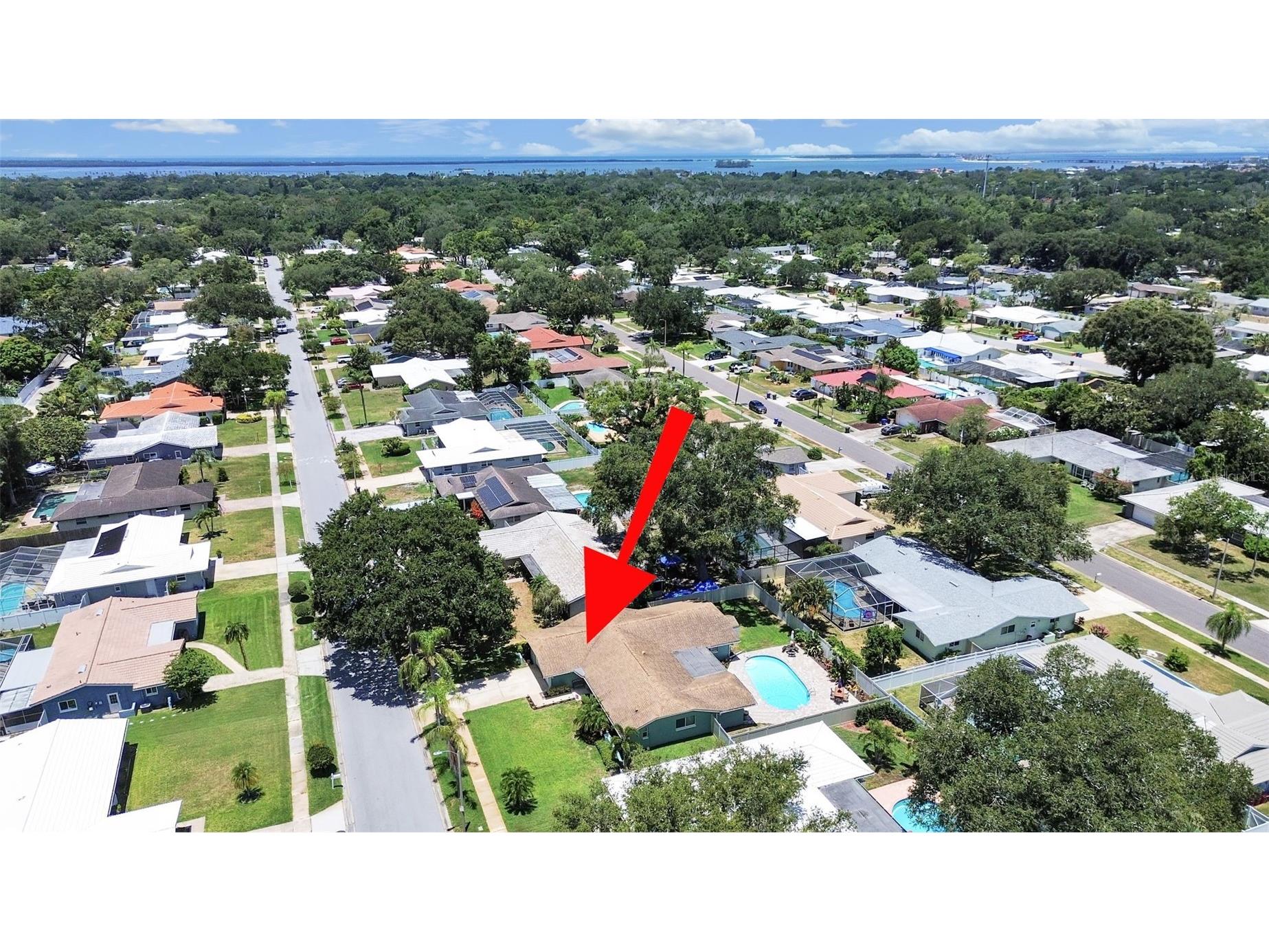 1110 Mclean Street Dunedin FL 34698 TB8522577 image10
