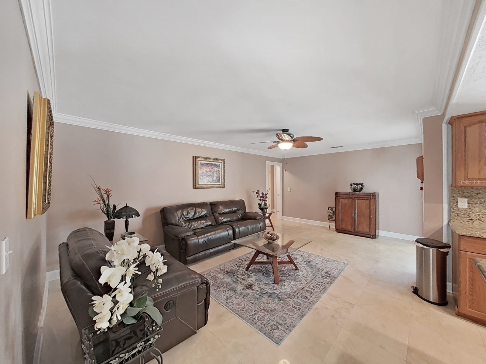 1110 Mclean Street Dunedin FL 34698 TB8522577 image33