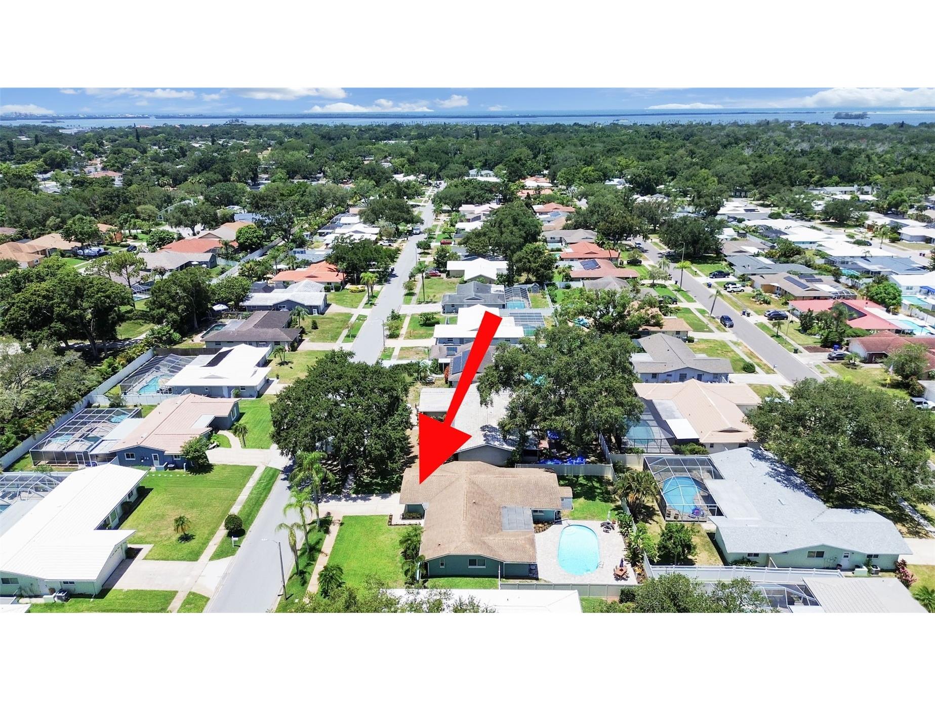1110 Mclean Street Dunedin FL 34698 TB8522577 image8