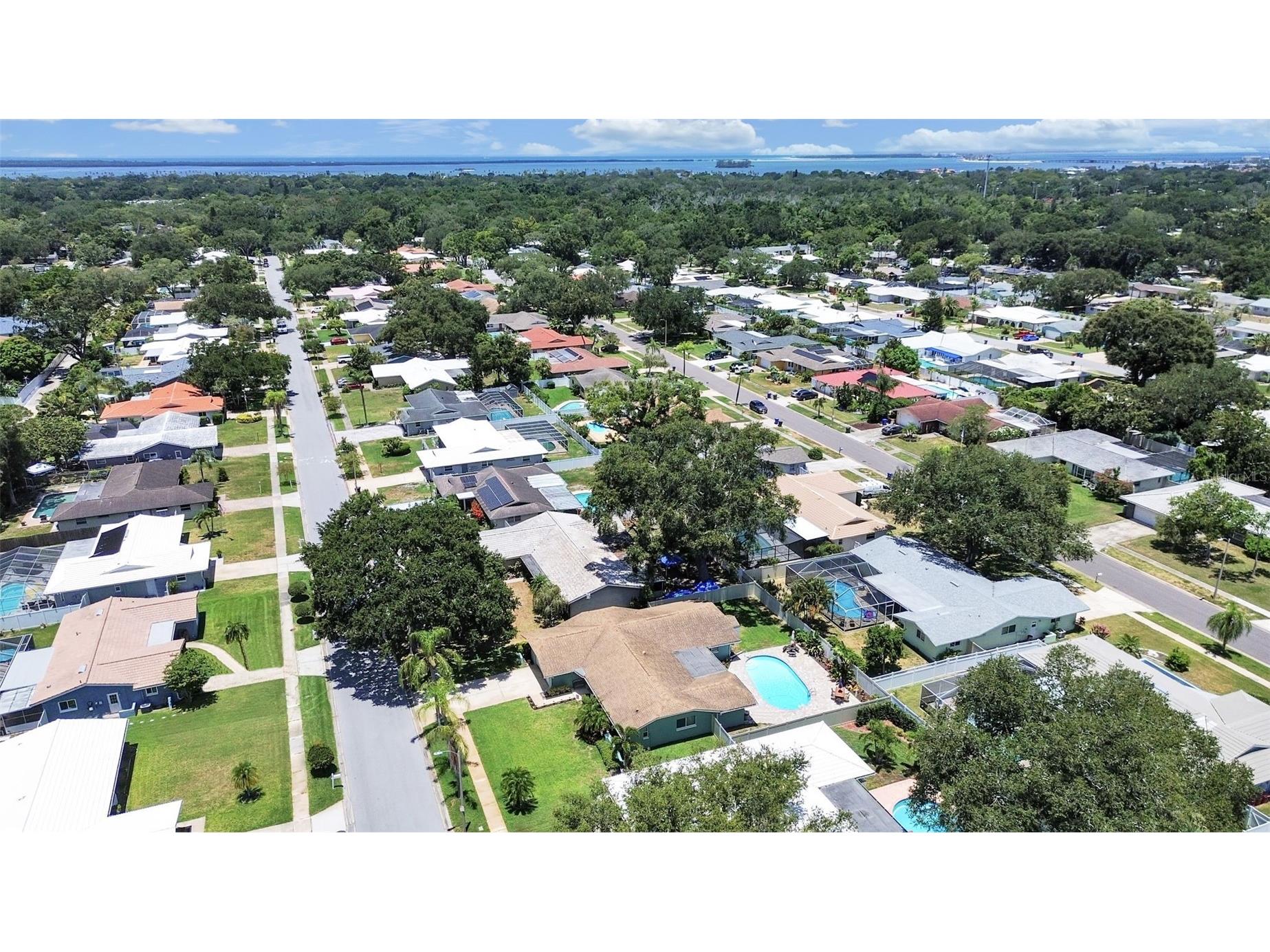 1110 Mclean Street Dunedin FL 34698 TB8522577 image9