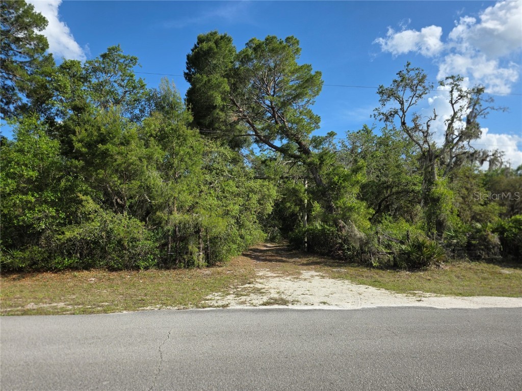 1110 NE 342nd Trail Okeechobee FL 34972 OK225084 image1