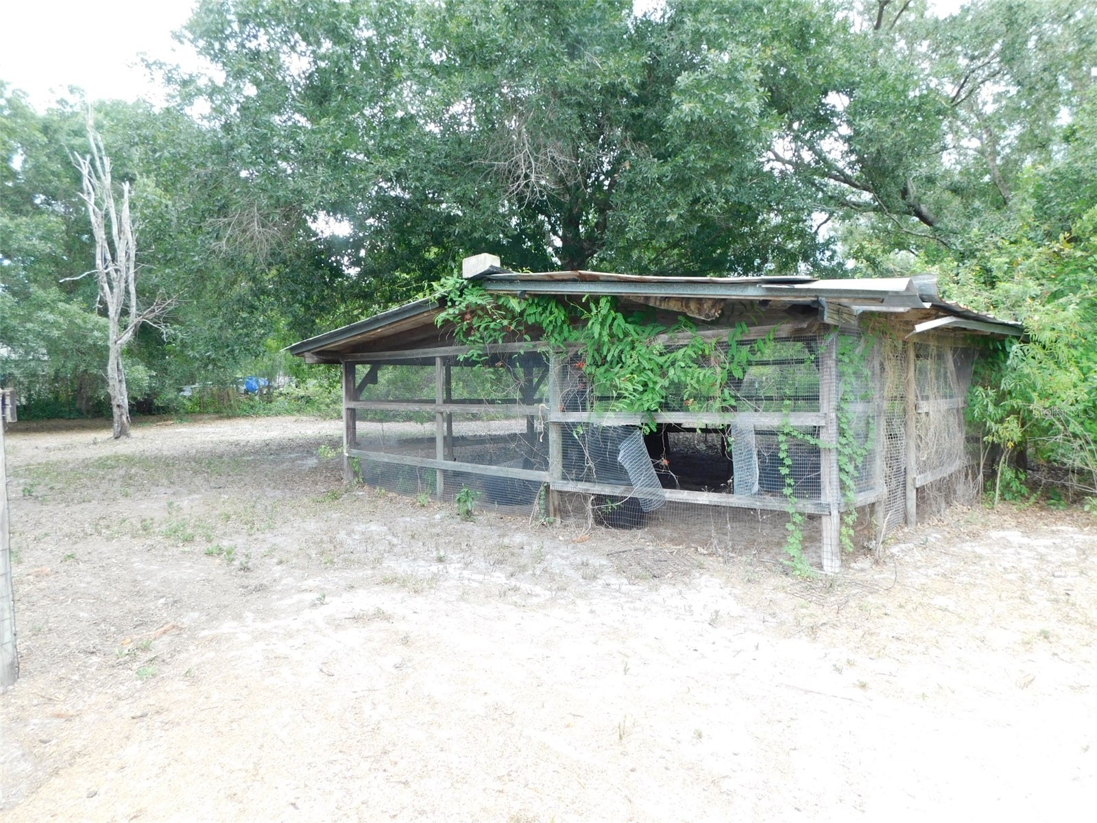 1110 NE Forrest Avenue Arcadia FL 34266 C7527728 image11