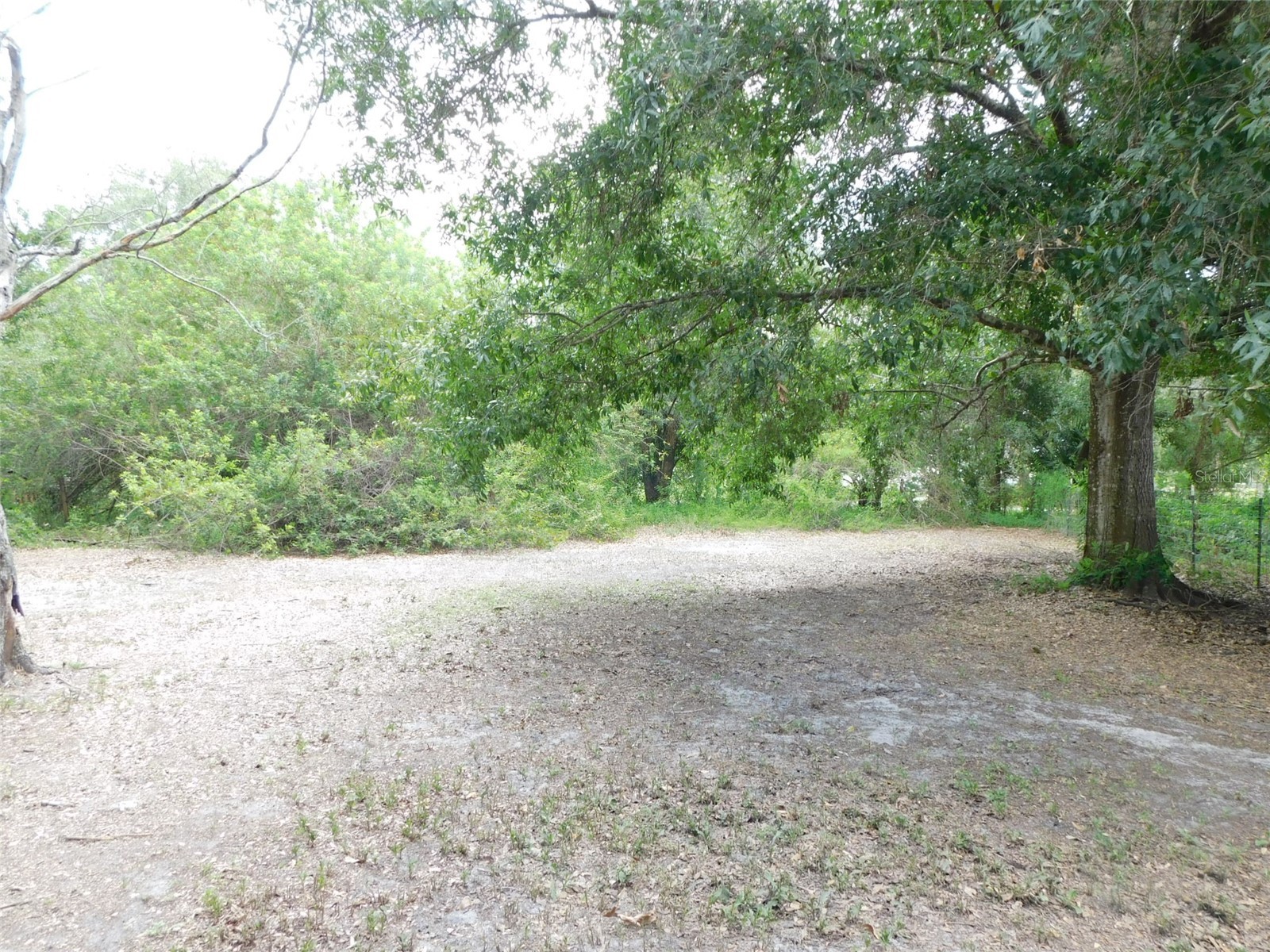 1110 NE Forrest Avenue Arcadia FL 34266 C7527728 image12