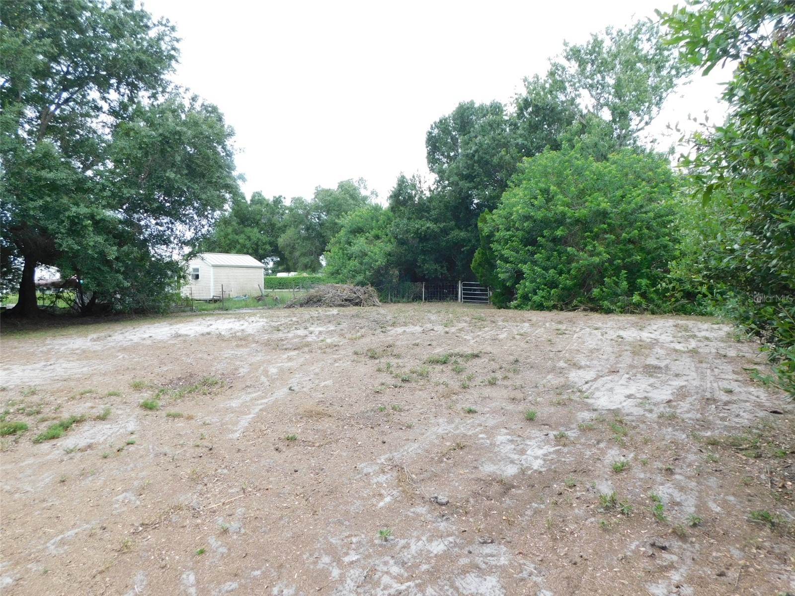 1110 NE Forrest Avenue Arcadia FL 34266 C7527728 image13