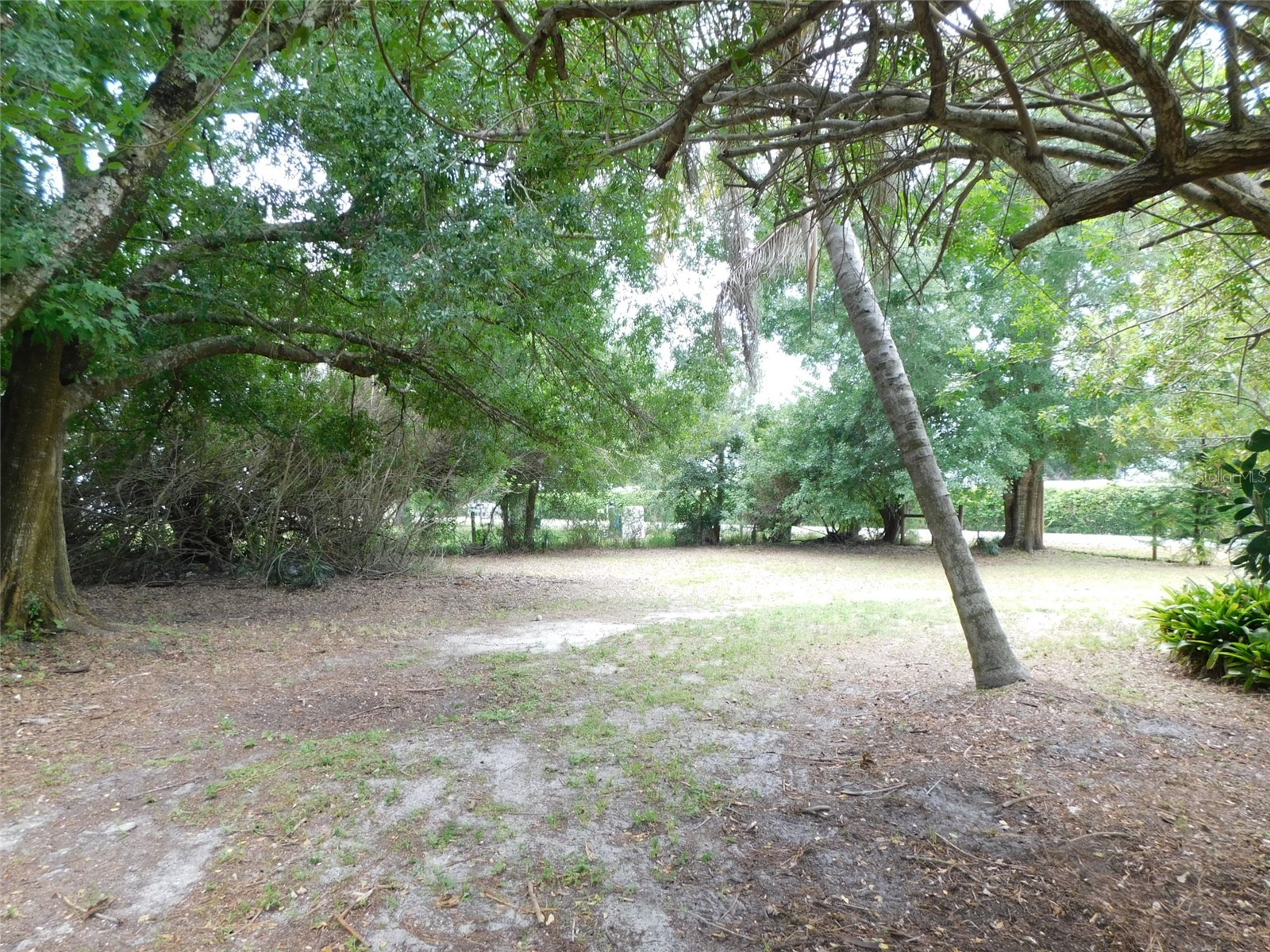 1110 NE Forrest Avenue Arcadia FL 34266 C7527728 image31